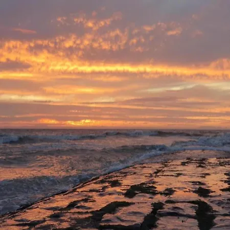 Chic Urban Seaside 尼乌波特