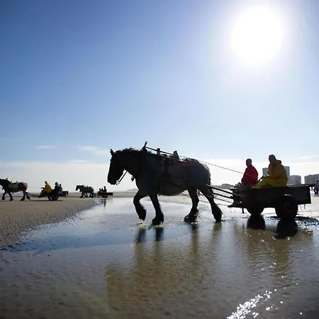 Chic Urban Seaside Nieuwpoort