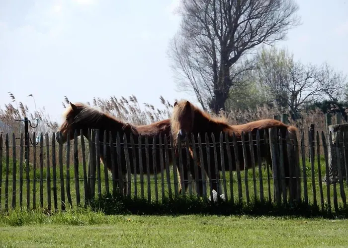 Chic Urban Seaside Апартаменты Ньивпорт